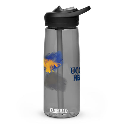 Sports water bottle