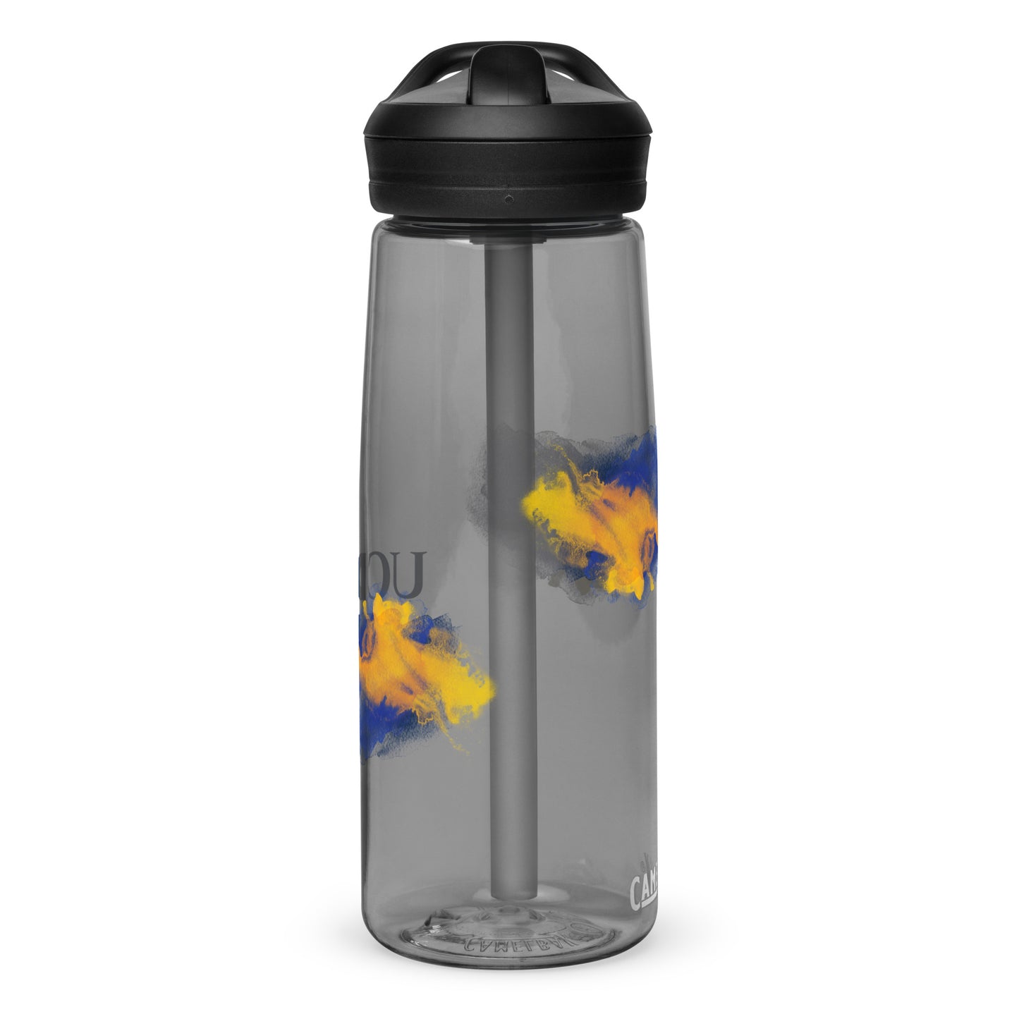 Sports water bottle